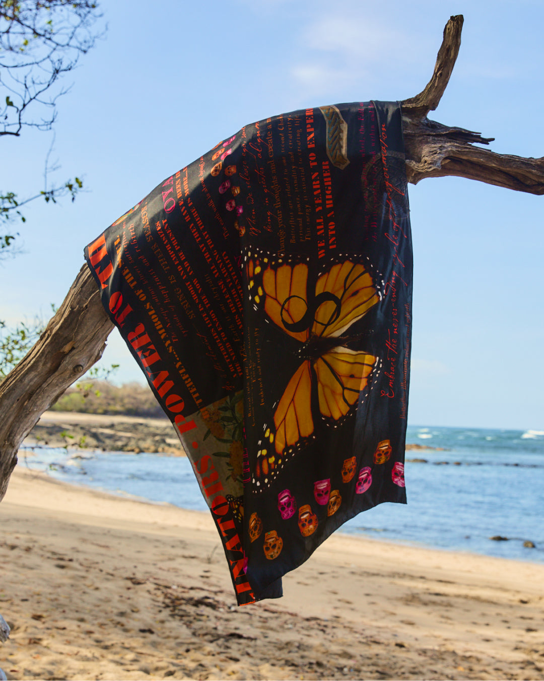 Monarch Butterfly 8