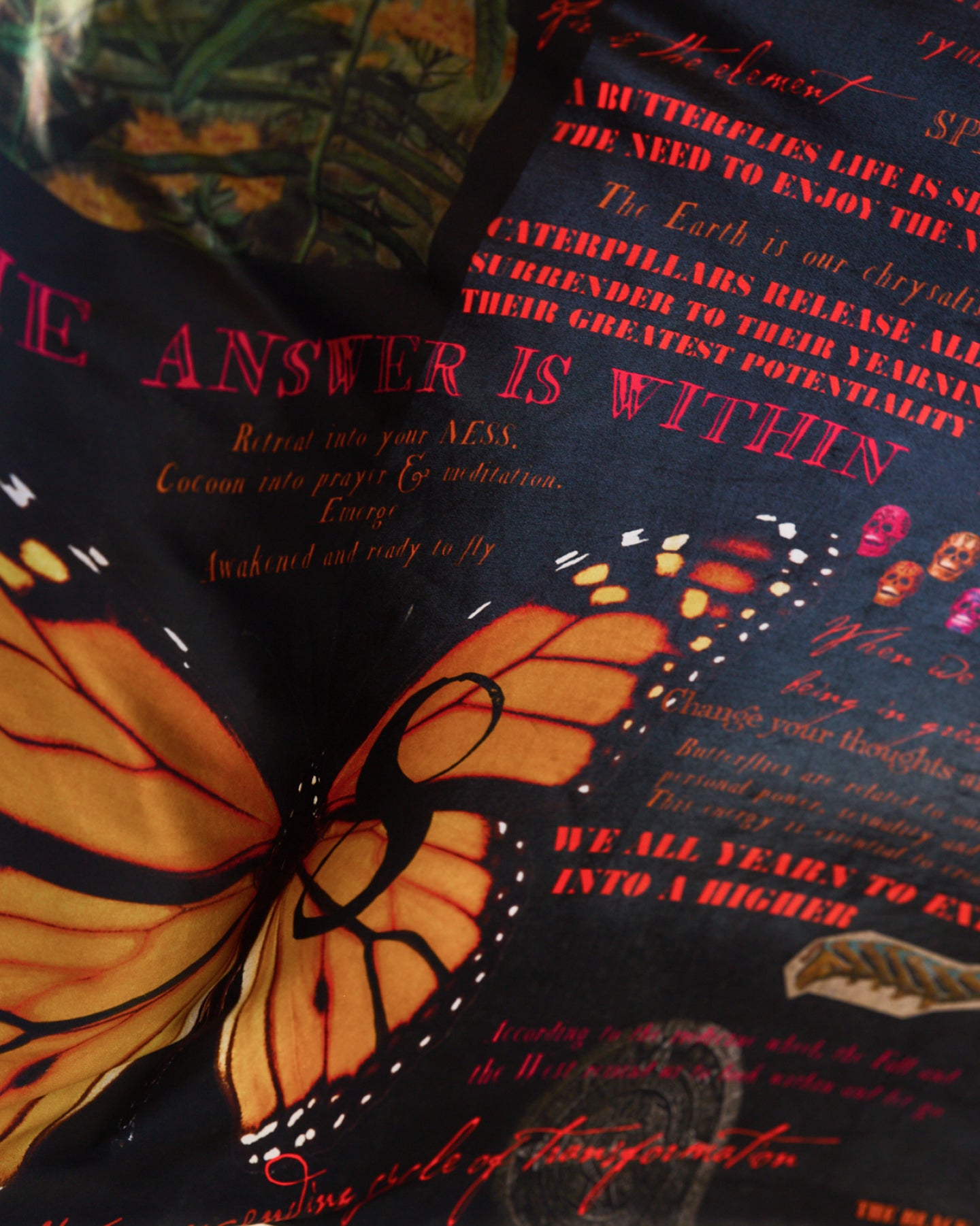 Monarch Butterfly 8