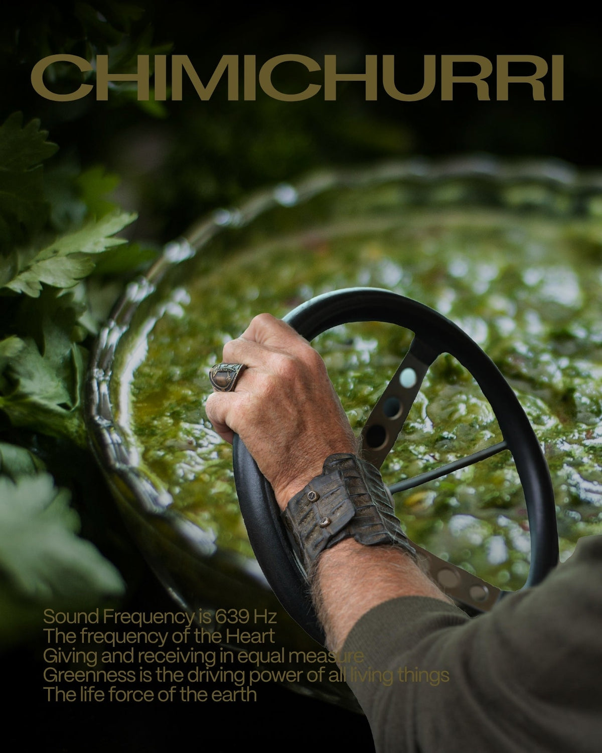 Chimichurri
