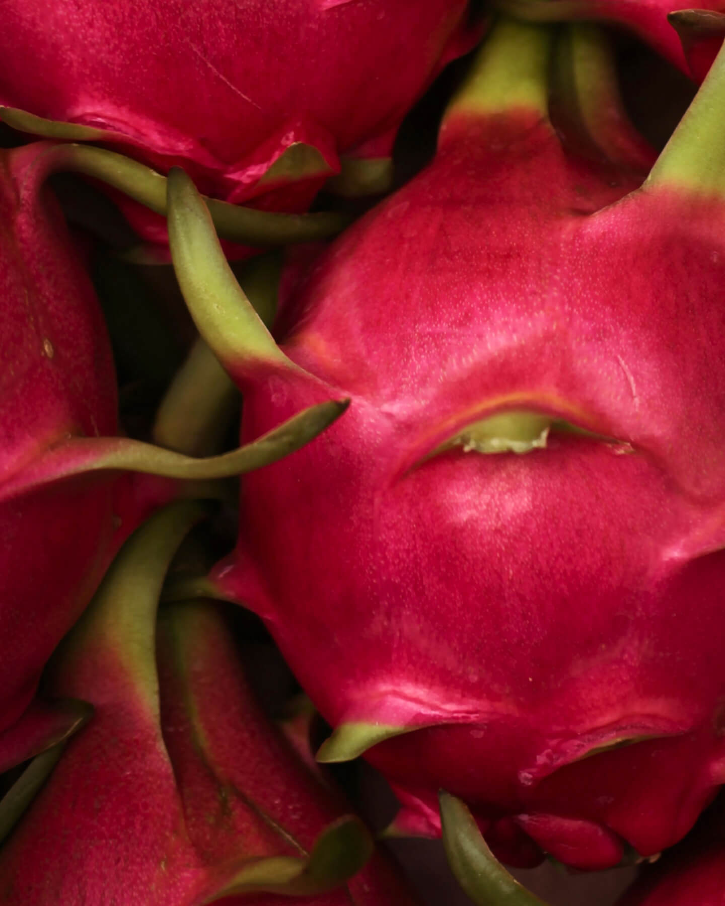 Dragon Fruit