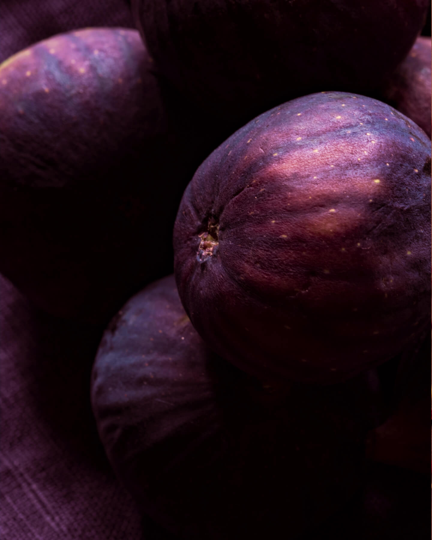 Fig