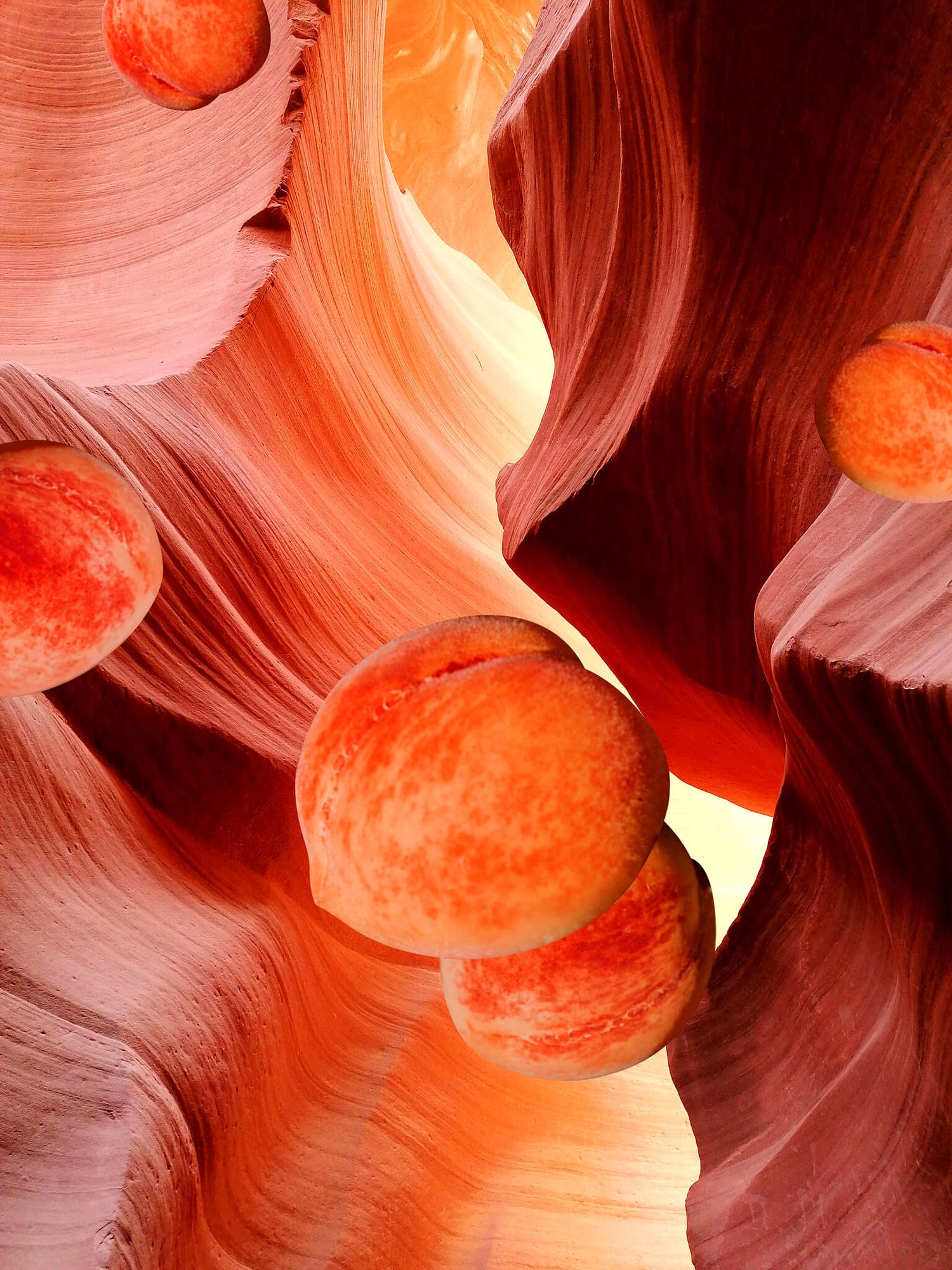 Navajo Peach