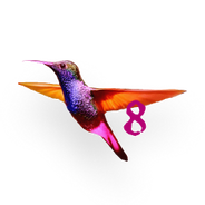 Electric Hummingbird 8