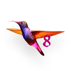 Electric Hummingbird 8