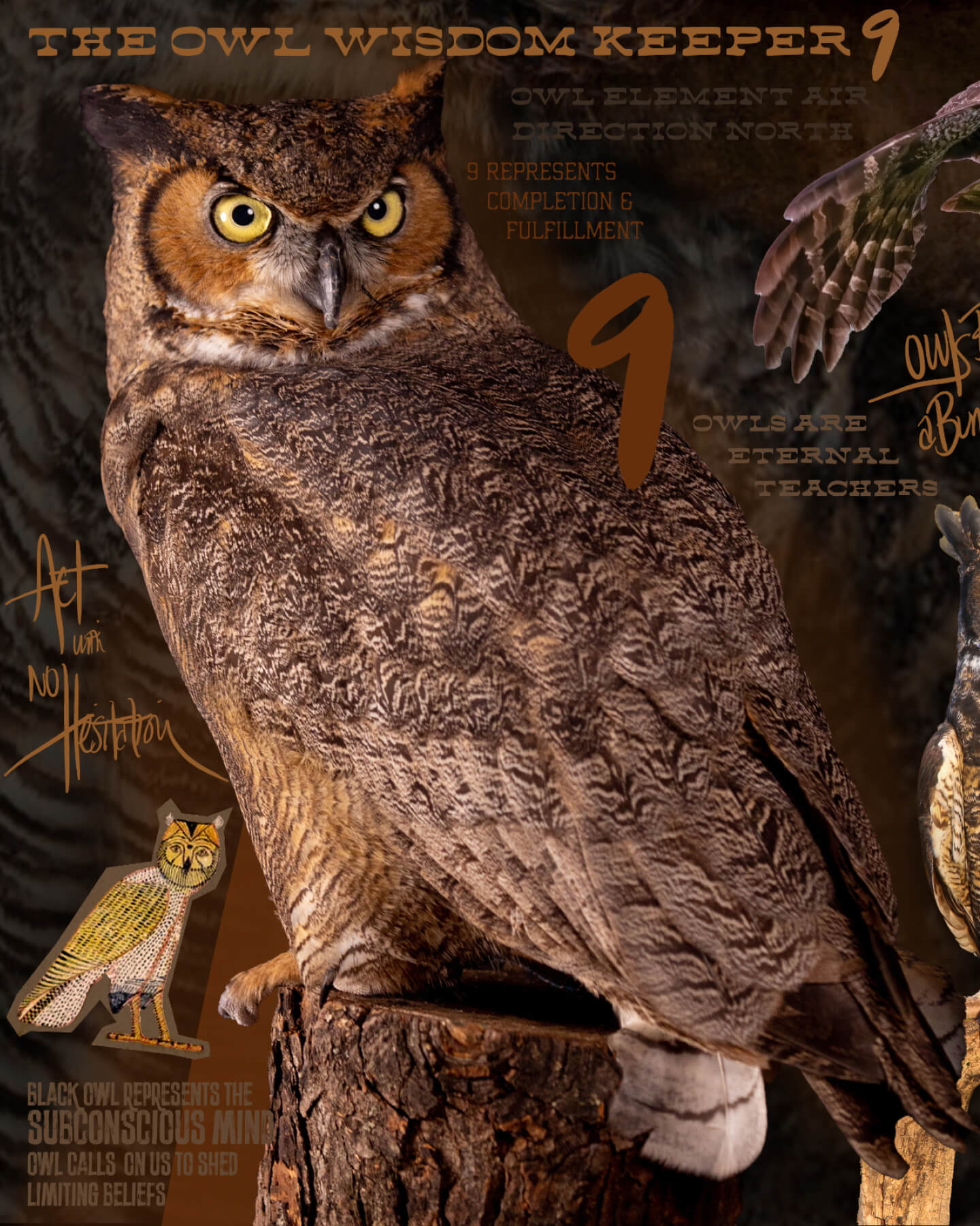 Owl Totem T for the Goddesses