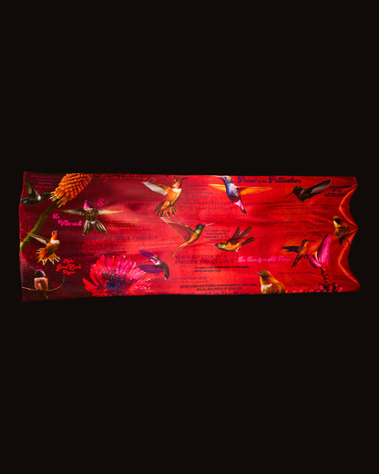 Electric Hummingbird 8