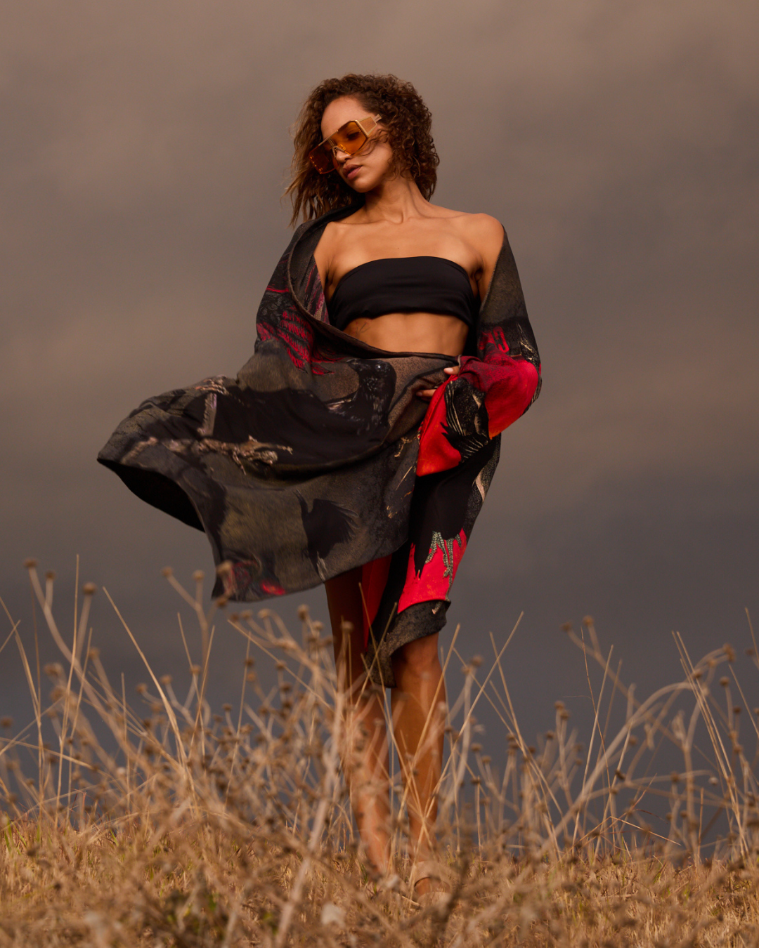 Crow 5 Silk Scarf
