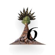 Sequoia Tree 6