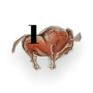 Bison 1