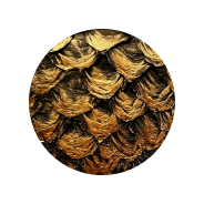 Amazonian Pirarucu
