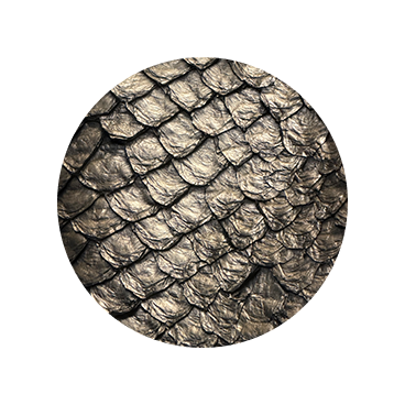 Lunar