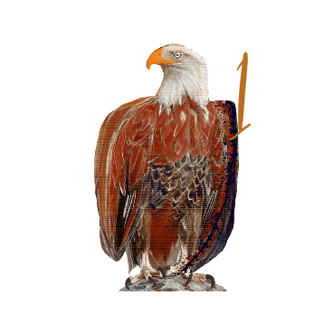 Eagle eye to the future 1